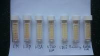 Koelwater bacterien test samples